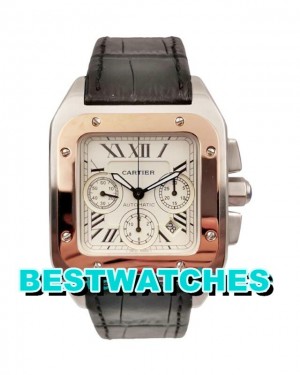 Cartier Replica Santos 100 W20091X7 - 41 MM